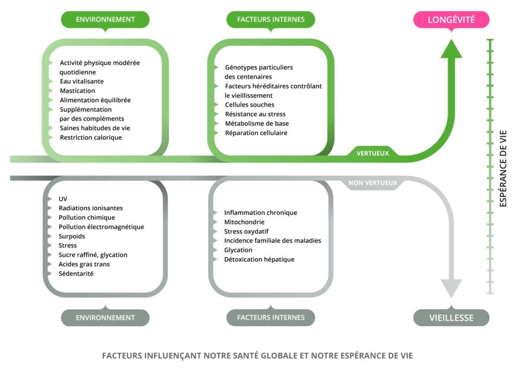 La longévité et le chemin vers une vie en bonne santé