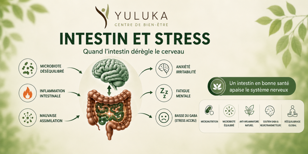 Solution pour le stress et la digestion à Toulouse