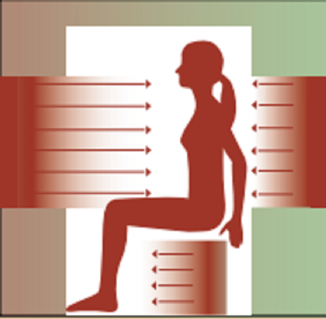 Quel est le meilleur type de sauna à L’Union ?